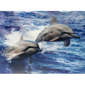 3 Boyutlu Resim Sevimli Yunuslar İkili Yunus Resmi Tablosu 30X40 ..
