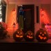 Ses Sensörlü Cadılar Bayramı Halloween Konuşan Işıklı Ve Hareketli Mega Boy Demirli Cadı 135 Cm