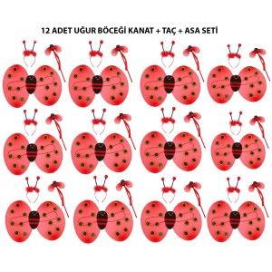 Uğur Böceği Kostüm Seti - Kanat Taç Asa 3 Parça 12 Adet