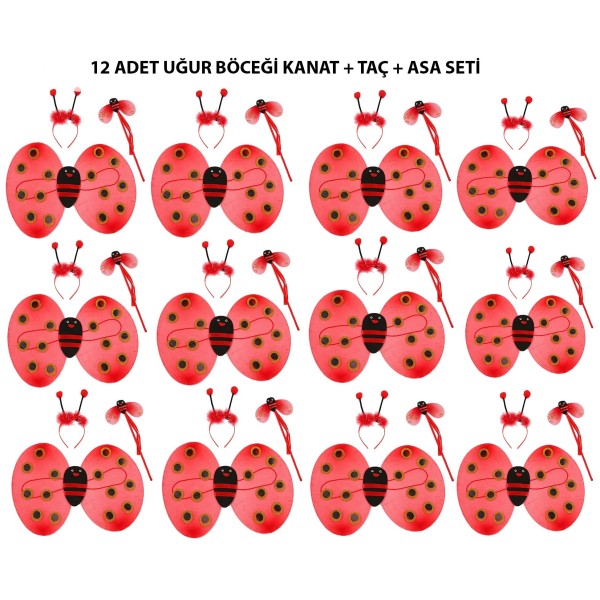 Uğur Böceği Kostüm Seti - Kanat Taç Asa 3 Parça 12 Adet