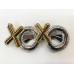 Xoxo Parti Gözlüğü 2 Renk 2 Adet